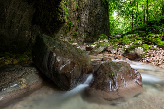 Mountain stream flows through a mossy rocky gorge in a lush forest, highlighting nature tourism and outdoor exploration, Sorna river, Brentonico, Trentino, Italy.
