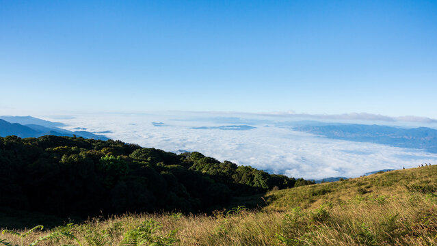 Panoramic mountain landscape with a vast sea of clouds, green forest and clear blue sky.