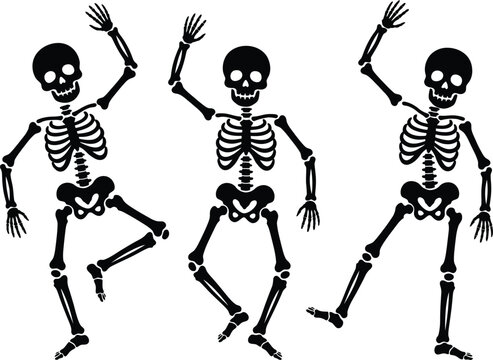 Three spooky dancing skeletons isolated on a transparent background vector.