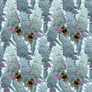 Hand drawn bright artistic floral print with sheep ears plant. Cute collage seamless pattern. Template for design. Floral pattern. Vibrant colored pencil strokes on paper. Not AI generated.
