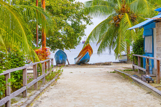 The road to the beach with boats under palm tree