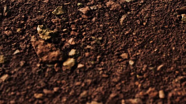 The scene shows a close up view of dirt with various small rocks scattered on the surface. The image captures natural elements in an outdoor environment during daylight.