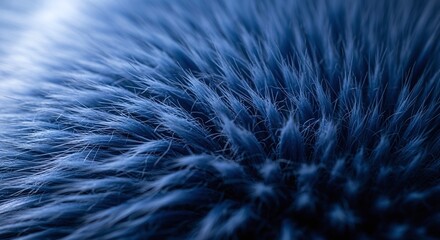 Obraz premium Closeup of blue fur texture detail.