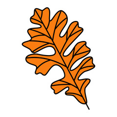 Fototapeta premium Autumn leaves vector icon set. Minimalist fall foliage flat illustration isolated on white background. Colorful line art design for Thanksgiving