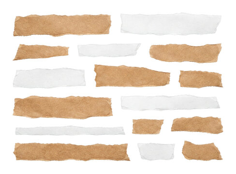 PNG Torn paper strips collection.