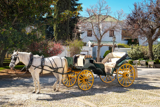 Horse Carriage in Ronda