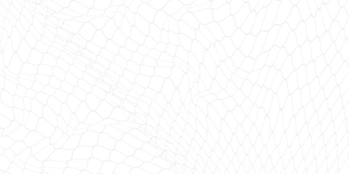 Black snake skin pattern isolated on white background eps 10