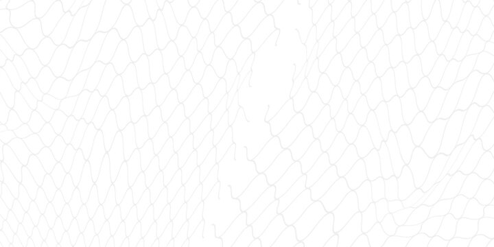 Black snake skin pattern isolated on white background eps 10