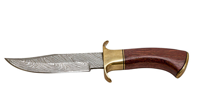 Damascus steel hunting knife with polished brass guard and dark wood handle, isolated on transparent background