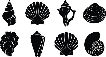 Collection of black seashell silhouettes vector icons featuring conch scallop clam and nautilus shells © MdMahedi