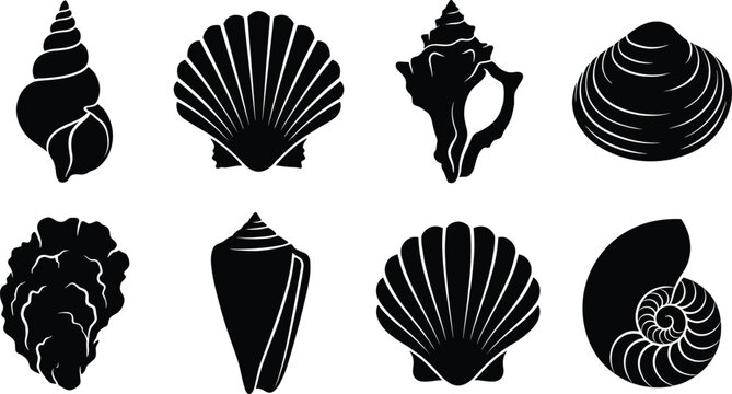 Collection of black seashell silhouettes vector icons featuring conch scallop clam and nautilus shells
