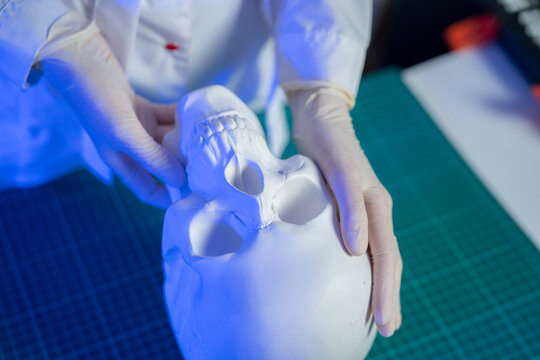 A person in gloves studies a white skull model in a workspace during the day with tools and materials around