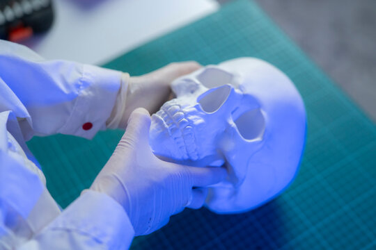A person in a lab setting works with a white skull model while wearing gloves