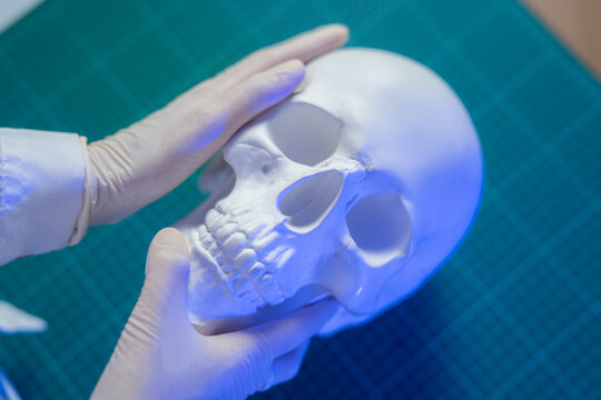 A person is holding a white skull model while working on a green cutting mat in a well-lit room