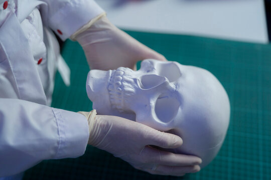 A person in a lab coat and gloves examines a skull model for safety and hygiene