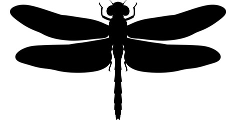Dragonfly Silhouette On White Background Minimalist Insect Shape © BismillahAdobe