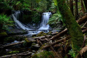 Horseshoe Falls in Mt. Field National Park, Tasmania, Australia. © Kirk Hewlett