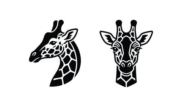 Black and white illustration of two giraffe heads in profile and frontal view, minimalist animal design