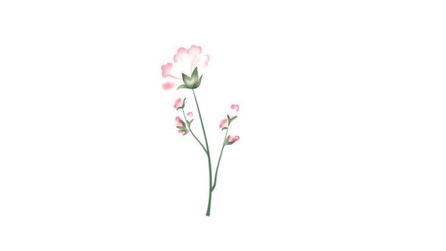 Botanical Micro Element 10