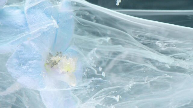 Pale blue flower center with pollen and stamen revealed beneath translucent milky fluid while ribbon-like filaments drift diagonally, bubbles hover, and soft light shapes clean minimal scene