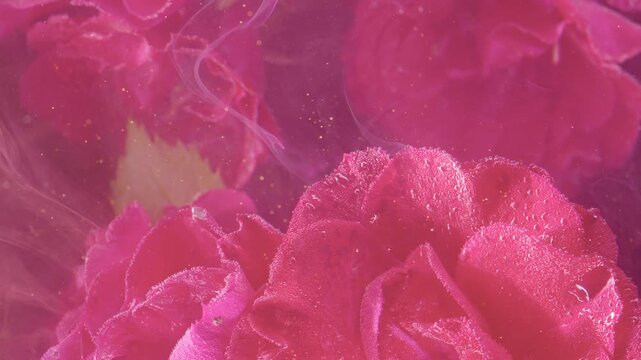 Extreme macro of deep pink carnation petals filling view, showing ruffled layers, moist surface detail, soft backlight, floating pollen, and subtle mist with warm glowing highlights