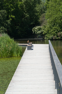 Steg mit Sitzb&auml;nken zum Ausruhen am Anlagensee am Anlagenpark in der Universit&auml;tsstadt T&uuml;bingen 