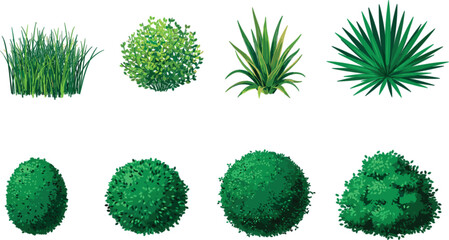 Realistic ornamental garden plants, green bushes shrubs grass collection isolated on white background vector illustration set design © MASUMA