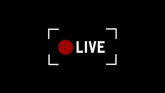 Live stream broadcast overlay with red recording indicator and white text frame for digital creation, social media streaming, online news reporting, and virtual event production