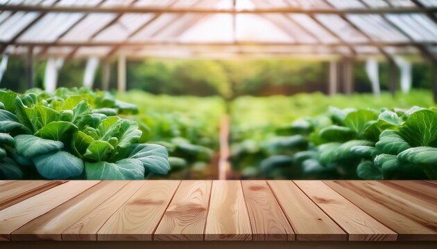 empty wood table top and blurred green tree and vegetable in greenhouse of agricultural farms background can used for display or montage your products