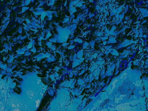 Psychedelic Deep Blue Monochrome Creeping Vine Concrete Wall Abstract Botanical Background Urban Nature Surreal Pop Art Texture