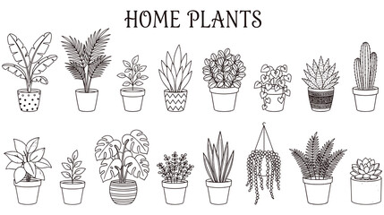 Home plants collection in pots for interior decor and botanical hobby. © SABIKUNNAHAR