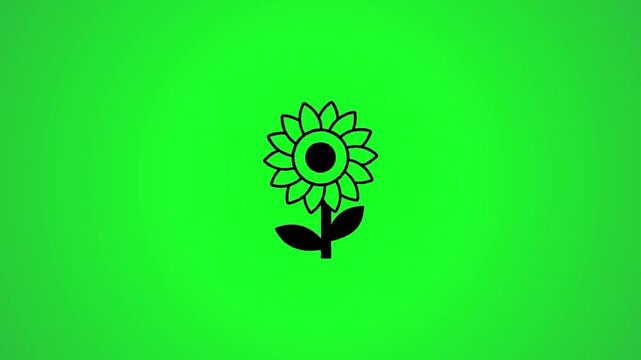 Black outline of a sunflower appears on a vibrant green screen with a subtle shadow and then becomes solid black in a dynamic motion clip