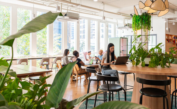 People Working in a Bright Space With Plants and Natural Light