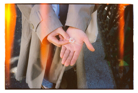 Hands holding a small flower under soft sunlight in the city