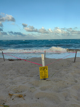 Protected sea turtle nest on beac