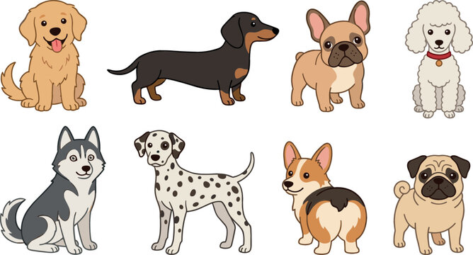 Cute cartoon dog breed vector sticker set featuring happy golden retriever dachshund french bulldog poodle husky dalmatian corgi and pug isolated on white background