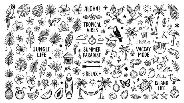Tropical doodle set. Hand drawn summer icons for beach branding design.