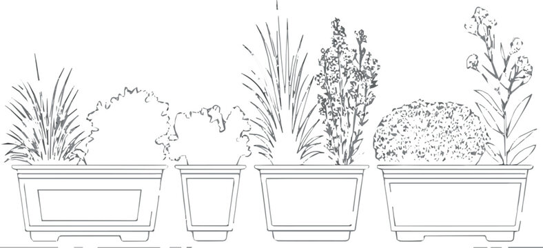 Create Set of flower boxes in elevation view for use in architectural drawing isolated on no Background