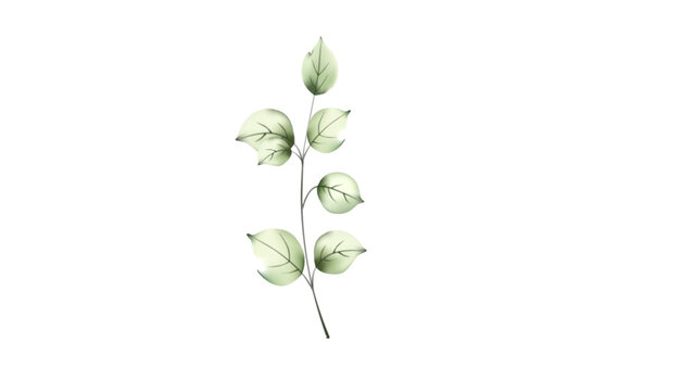 Botanical Micro Element 06