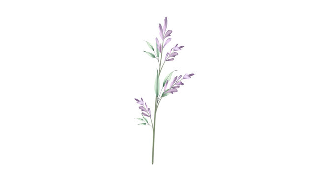 Botanical Micro Element 11