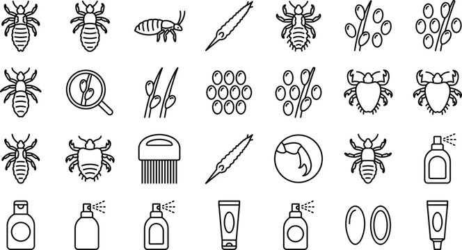 Head lice removal treatment line icon set with parasite nits comb spray shampoo vector illustration