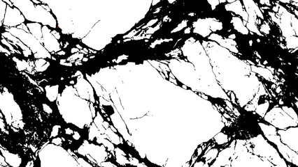 Obraz premium Black and white marble texture with cracks and veins natural stone pattern