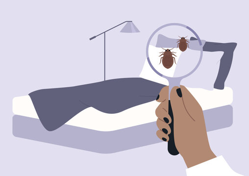 Bed bugs problem, a hand inspecting a bedding with a magnifying glass