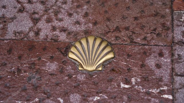 Detalle de la concha del peregrino: el origen del icono del Camino de Santiago. Oviedo, Asturias, Espa&ntilde;a. Julio de 2026.