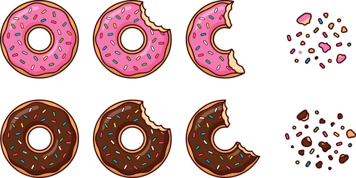 Vector donut illustration set featuring whole bitten half and crumb elements of chocolate and pink strawberry glazed doughnuts isolated on white background