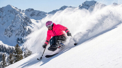 Fototapeta premium Determined adaptive skier with sit ski setup carving down steep pristine powder slope