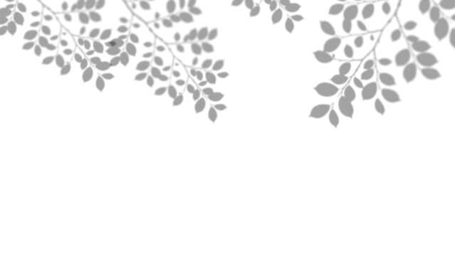 Transparent tree branch shadow overlay creates realistic natural lighting for photorealistic.