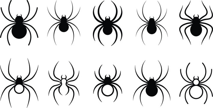 Spider collection black widow orb weaver and tarantula silhouettes