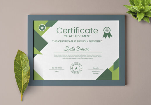 Professional Certificate Template