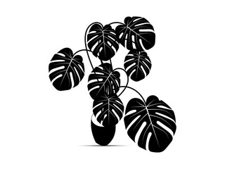 Silhouette Monstera Houseplant Flat Design © GraphicsStcocks